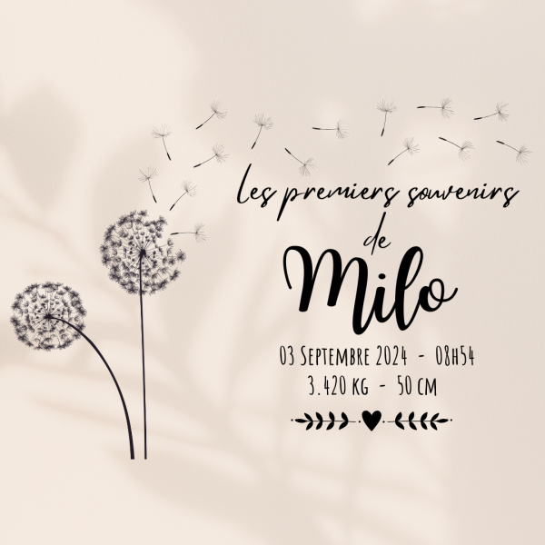 Boîte à souvenirs de naissance