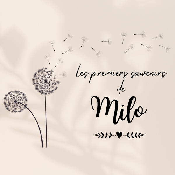 boite naissance modèle pissenlit Coffret souvenirs de naissance