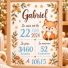 Cadre de naissance personnalisé